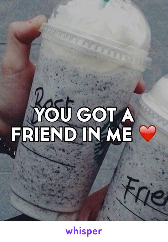 YOU GOT A FRIEND IN ME ❤️