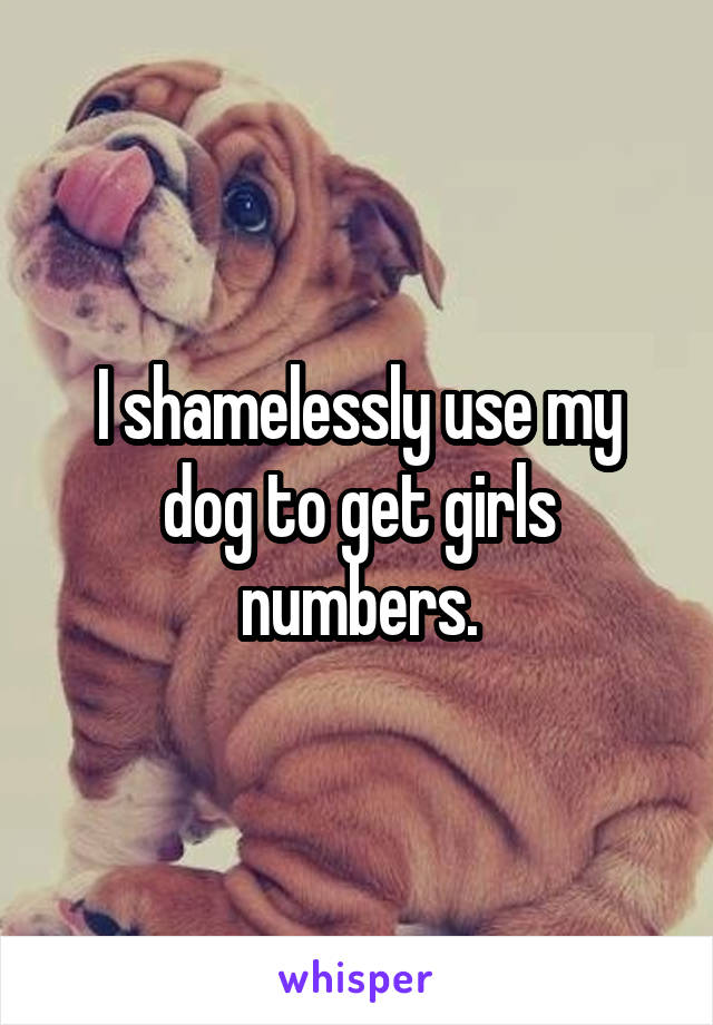I shamelessly use my dog to get girls numbers.