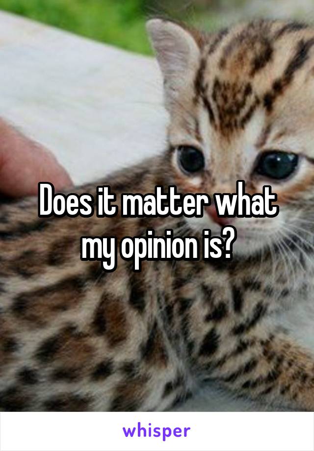 Does it matter what my opinion is?