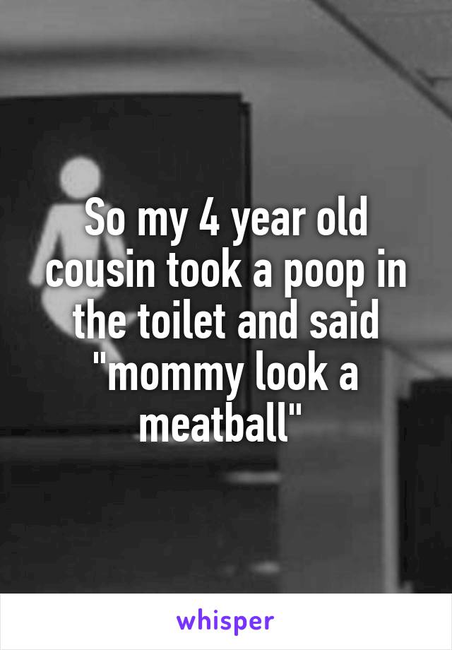 So my 4 year old cousin took a poop in the toilet and said "mommy look a meatball" 