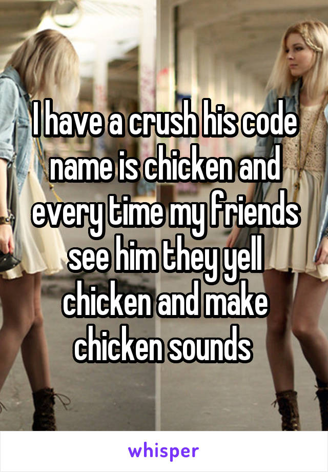 I have a crush his code name is chicken and every time my friends see him they yell chicken and make chicken sounds 