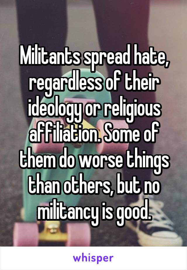 Militants spread hate, regardless of their ideology or religious affiliation. Some of them do worse things than others, but no militancy is good.