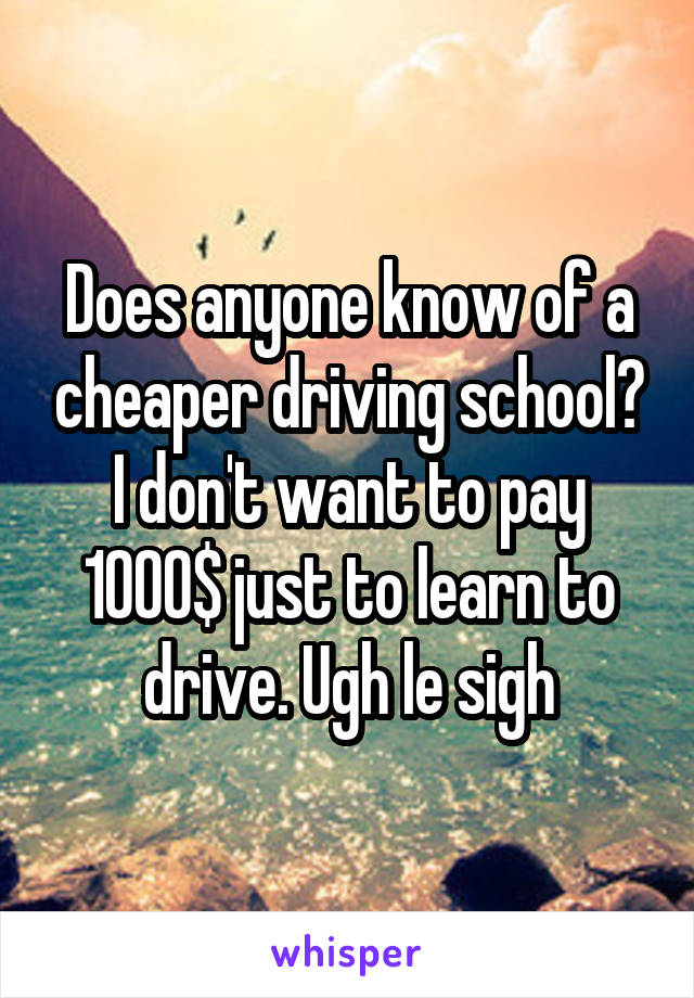 Does anyone know of a cheaper driving school? I don't want to pay 1000$ just to learn to drive. Ugh le sigh