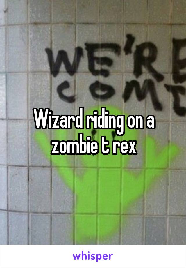 Wizard riding on a zombie t rex