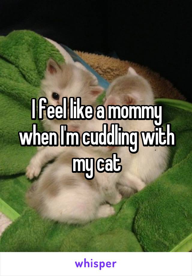 I feel like a mommy when I'm cuddling with my cat