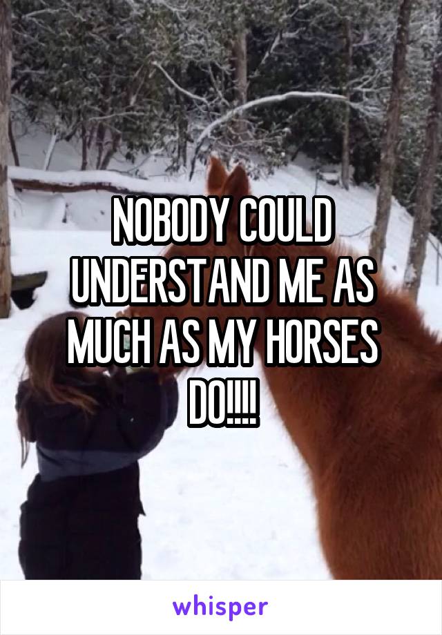 NOBODY COULD UNDERSTAND ME AS MUCH AS MY HORSES DO!!!!