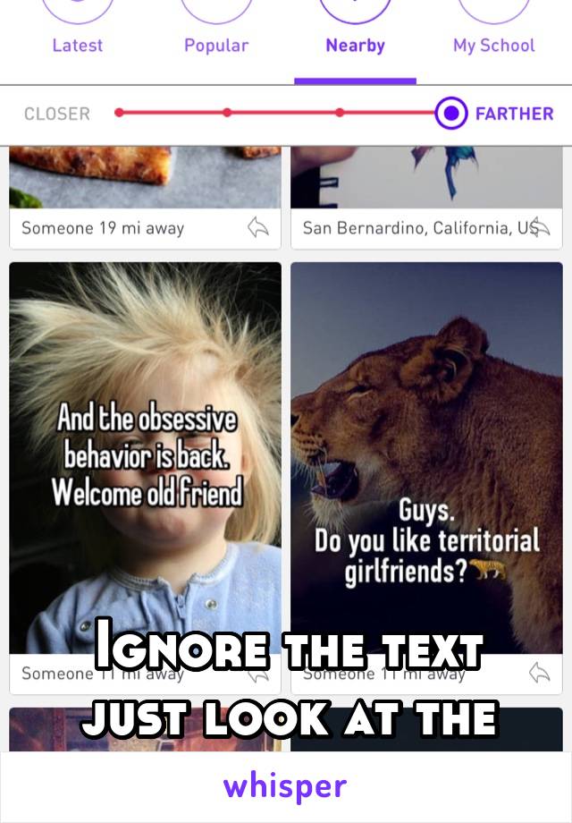 








Ignore the text just look at the two pictures