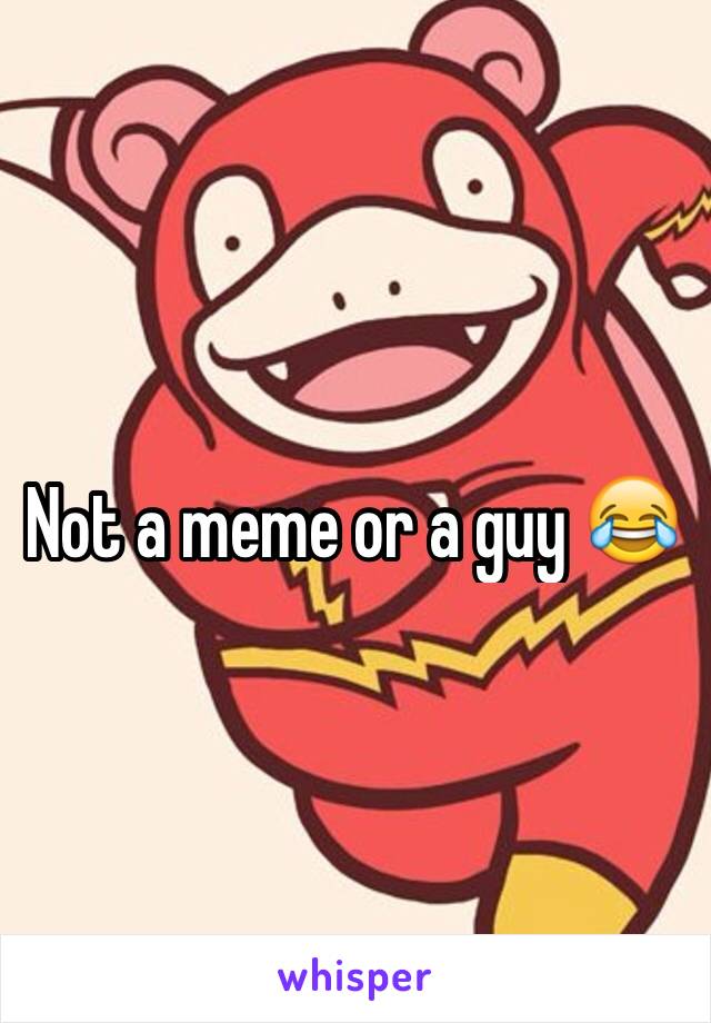Not a meme or a guy 😂