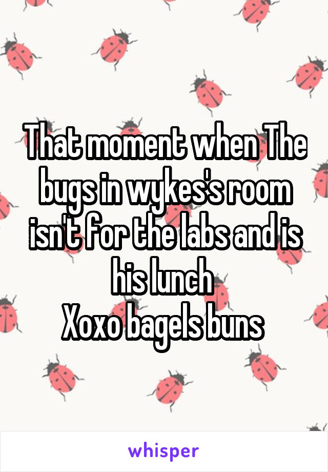 That moment when The bugs in wykes's room isn't for the labs and is his lunch 
Xoxo bagels buns 