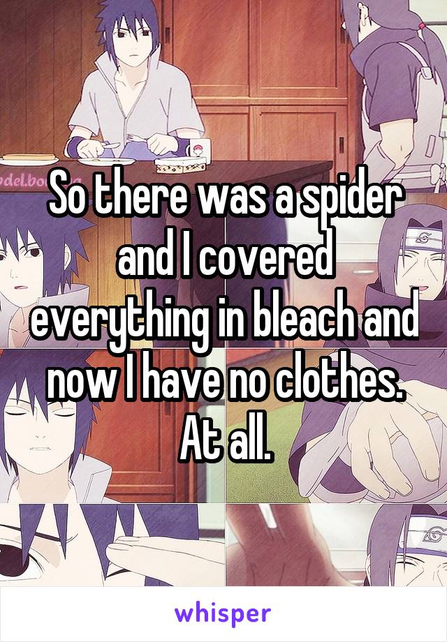 So there was a spider and I covered everything in bleach and now I have no clothes. At all.