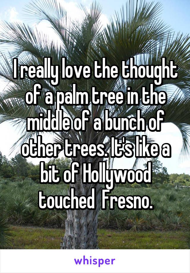 I really love the thought of a palm tree in the middle of a bunch of other trees. It's like a bit of Hollywood touched  Fresno.