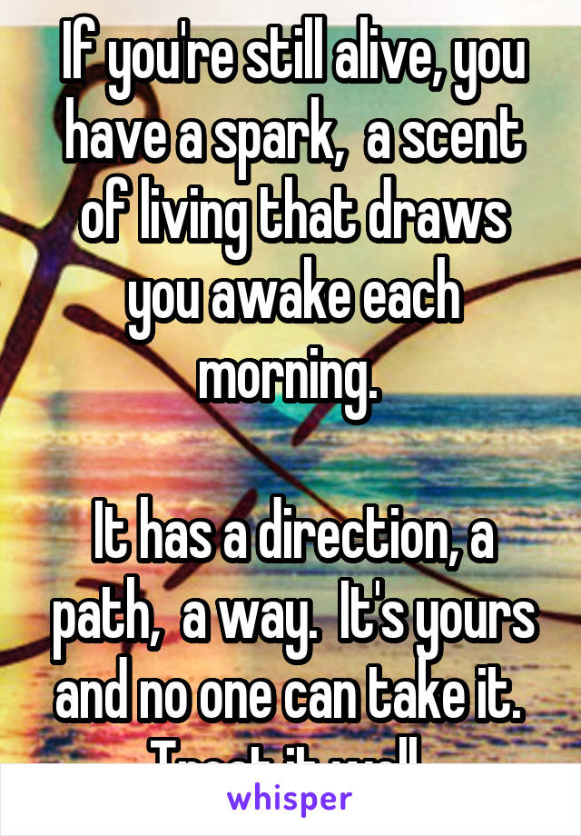If you're still alive, you have a spark,  a scent of living that draws you awake each morning. 

It has a direction, a path,  a way.  It's yours and no one can take it.  Treat it well. 
