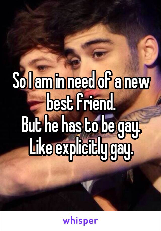 So I am in need of a new best friend.
But he has to be gay.
Like explicitly gay.