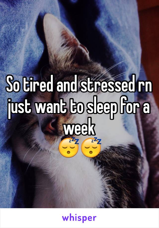 So tired and stressed rn just want to sleep for a week
😴😴