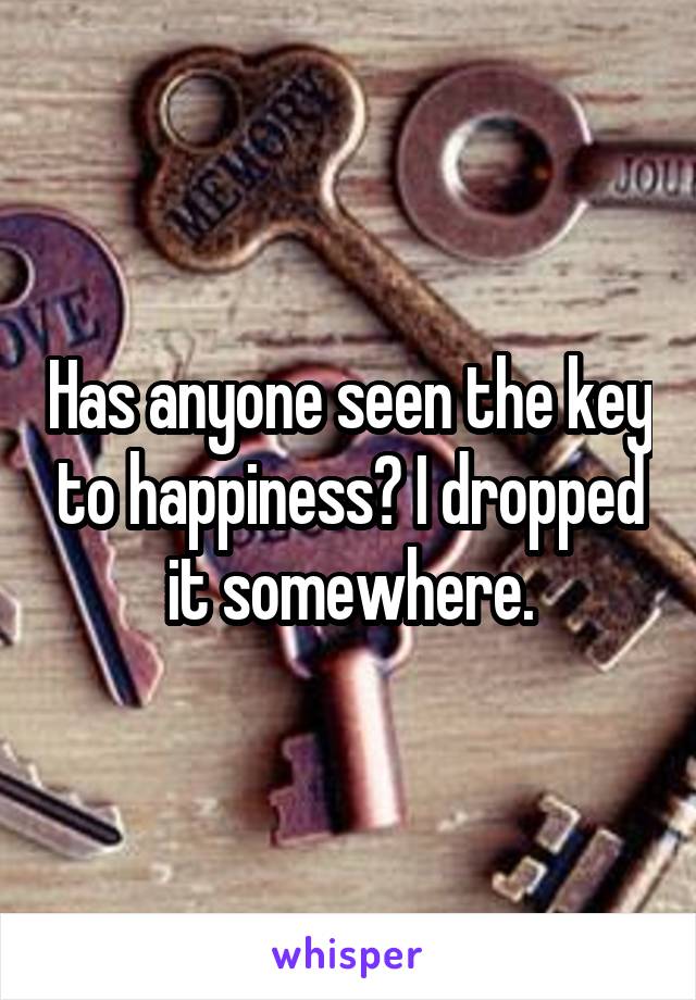 Has anyone seen the key to happiness? I dropped it somewhere.