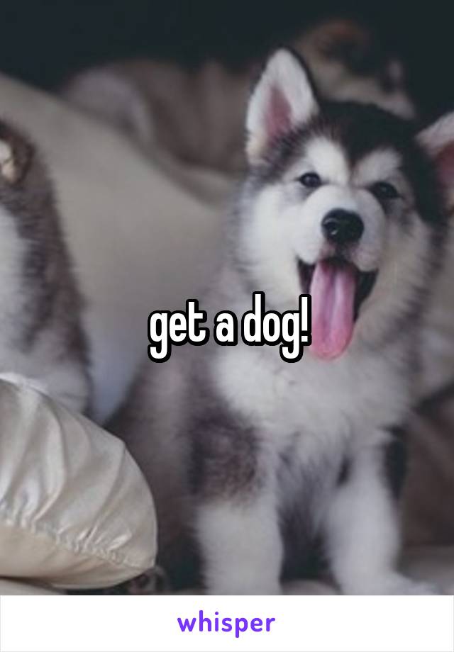 get a dog!