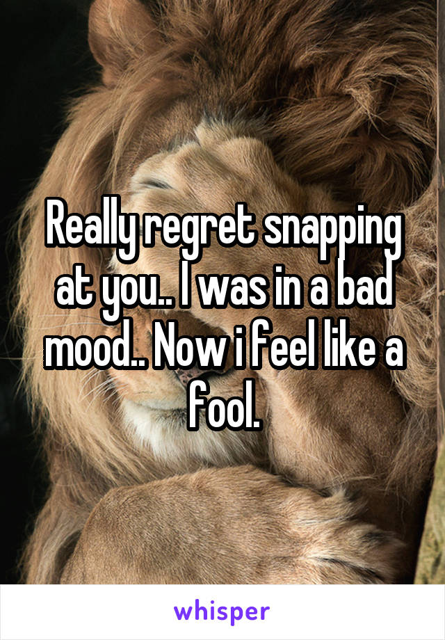 Really regret snapping at you.. I was in a bad mood.. Now i feel like a fool.