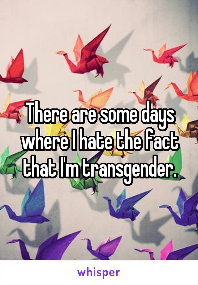 There are some days where I hate the fact that I'm transgender.