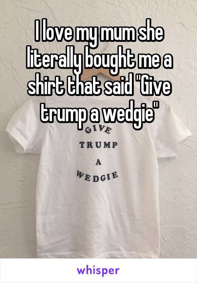 I love my mum she literally bought me a shirt that said "Give trump a wedgie"




