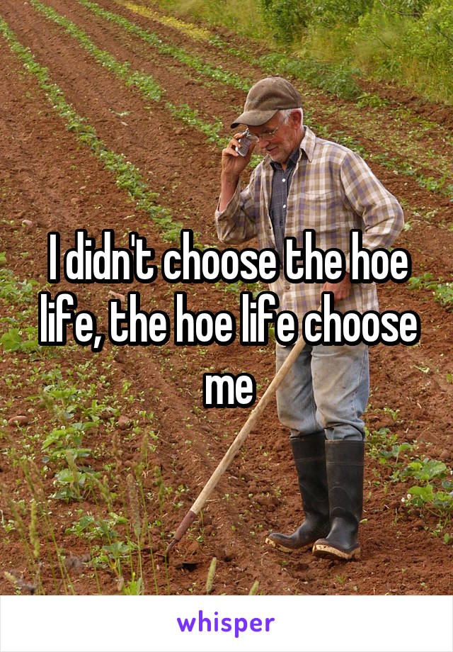 I didn't choose the hoe life, the hoe life choose me