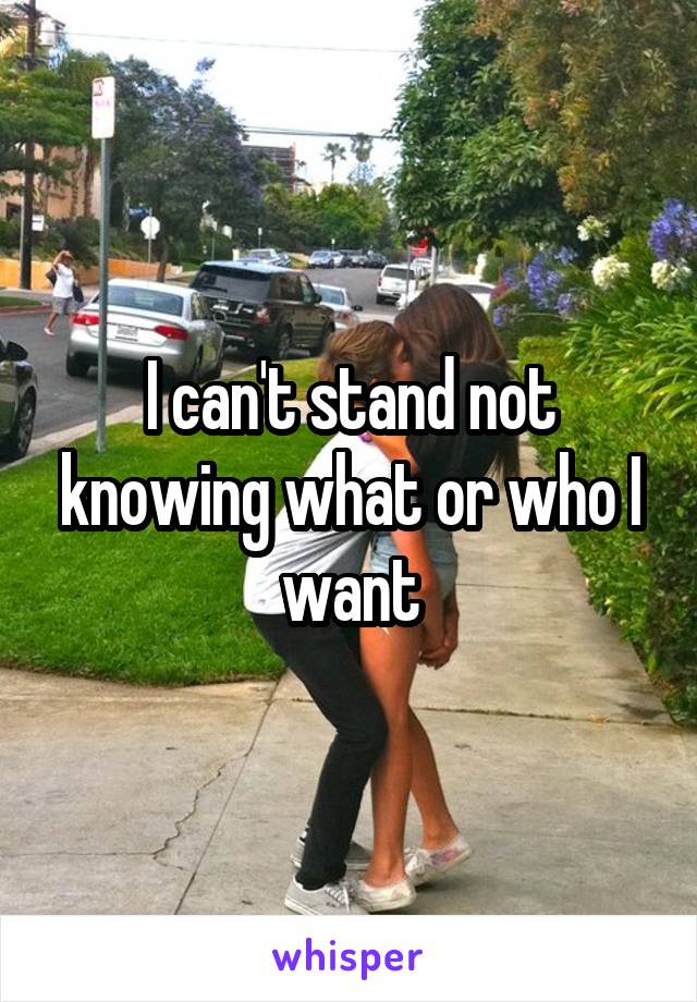 I can't stand not knowing what or who I want