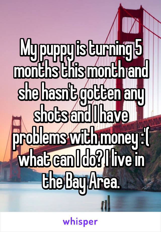 My puppy is turning 5 months this month and she hasn't gotten any shots and I have problems with money :'( what can I do? I live in the Bay Area.