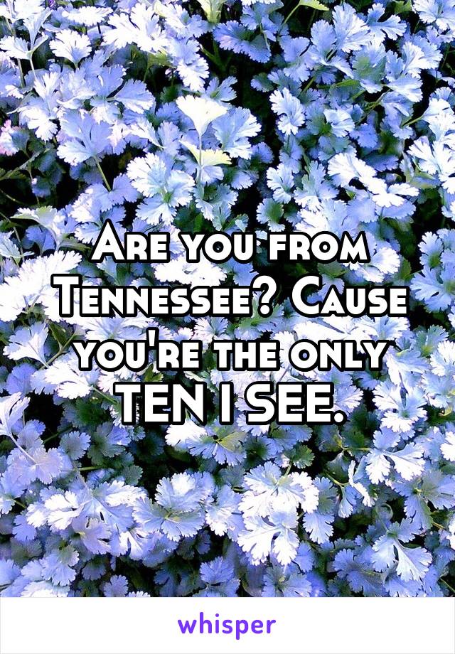 Are you from Tennessee? Cause you're the only TEN I SEE.