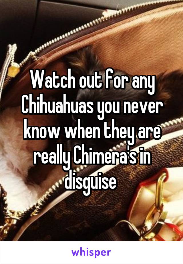 Watch out for any Chihuahuas you never know when they are really Chimera's in disguise 