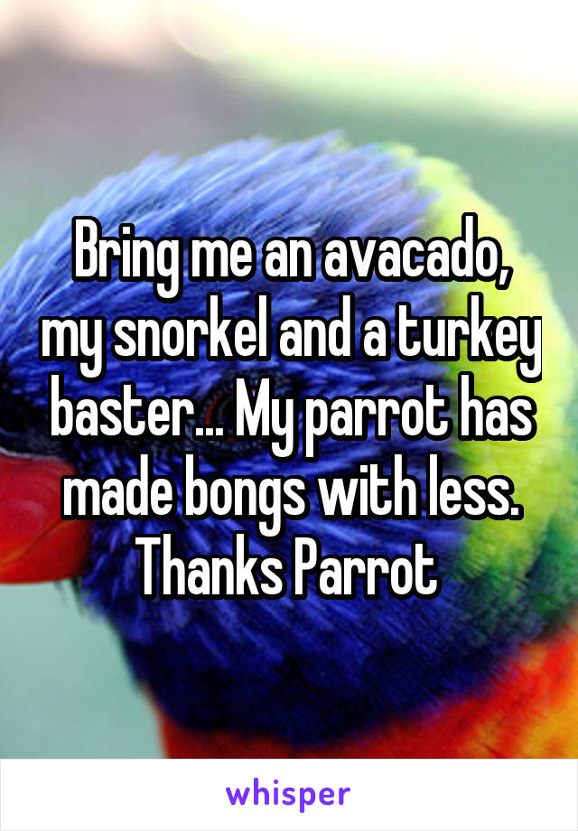 Bring me an avacado, my snorkel and a turkey baster... My parrot has made bongs with less. Thanks Parrot 
