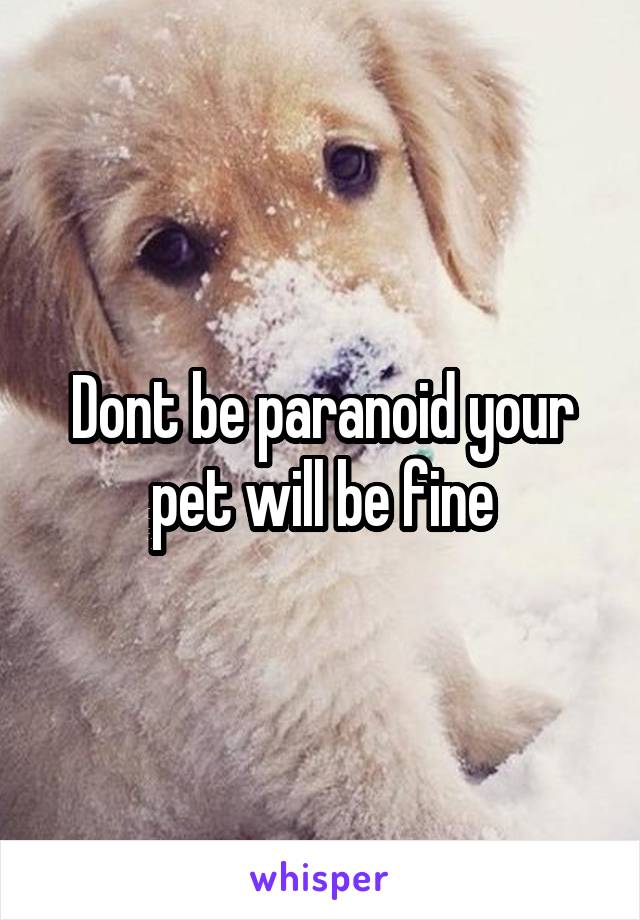 Dont be paranoid your pet will be fine