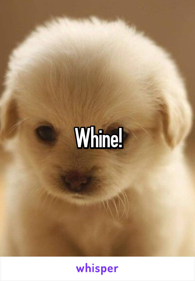 Whine!