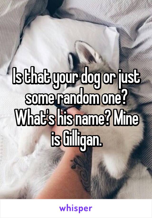 Is that your dog or just some random one? What's his name? Mine is Gilligan.