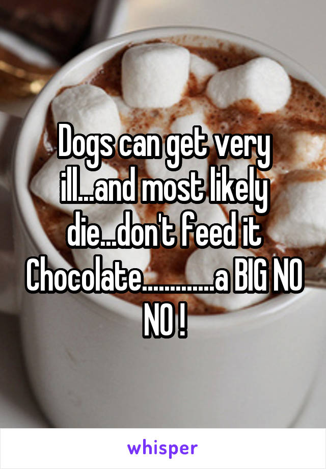 Dogs can get very ill...and most likely die...don't feed it Chocolate.............a BIG NO NO !