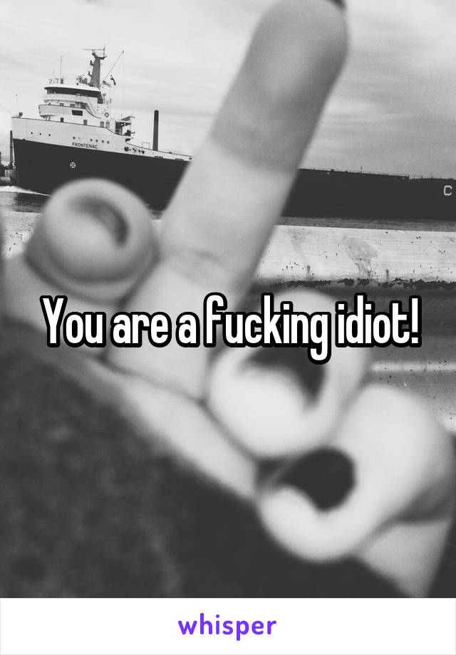 You are a fucking idiot!