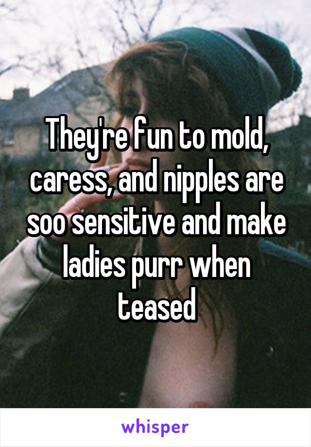They're fun to mold, caress, and nipples are soo sensitive and make ladies purr when teased