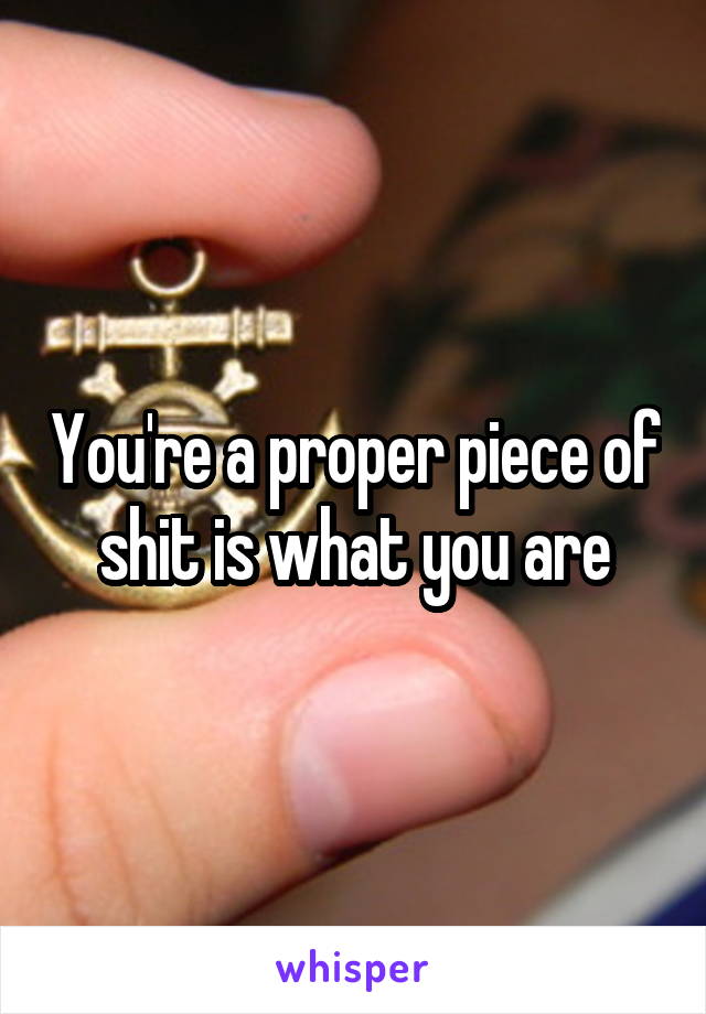 You're a proper piece of shit is what you are
