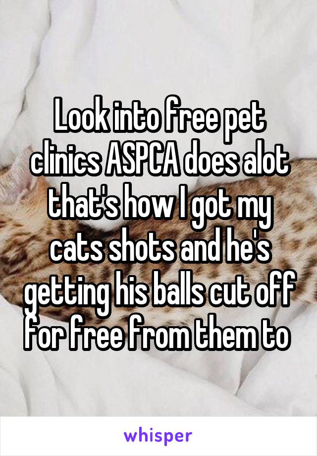 Look into free pet clinics ASPCA does alot that's how I got my cats shots and he's getting his balls cut off for free from them to 
