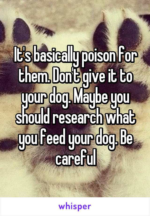 It's basically poison for them. Don't give it to your dog. Maybe you should research what you feed your dog. Be careful