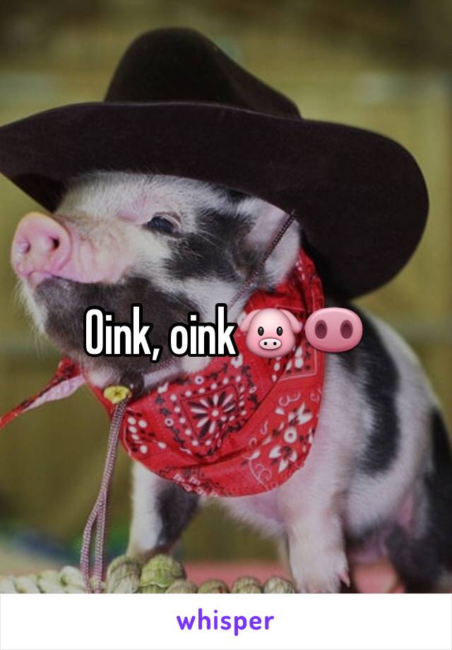 Oink, oink🐷🐽