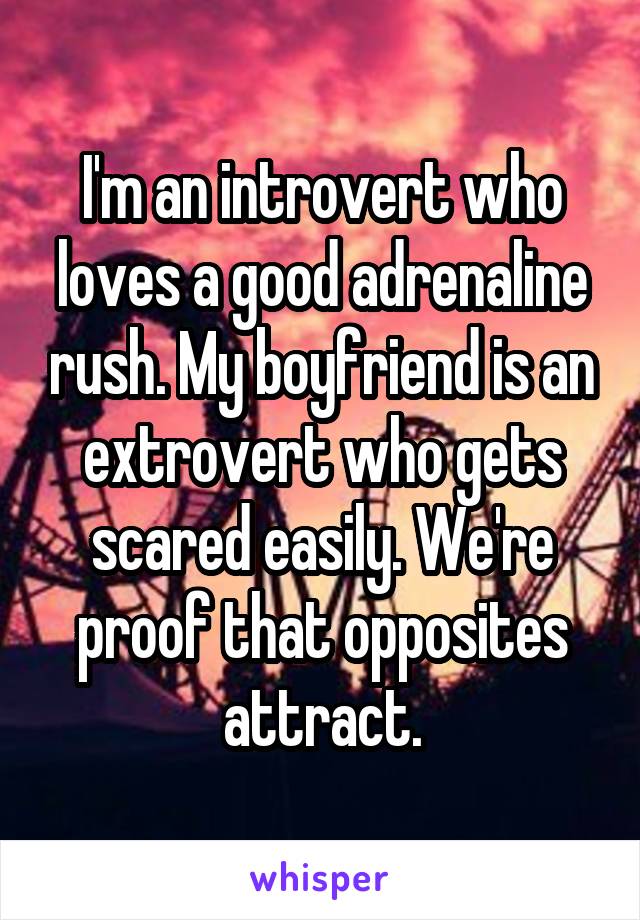 I'm an introvert who loves a good adrenaline rush. My boyfriend is an extrovert who gets scared easily. We're proof that opposites attract.