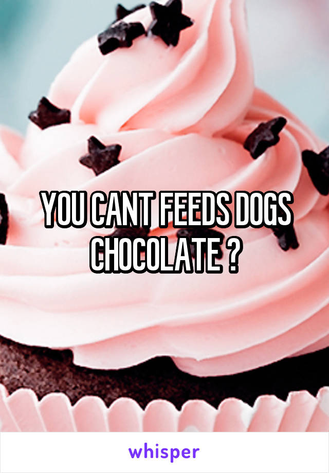 YOU CANT FEEDS DOGS CHOCOLATE 😑