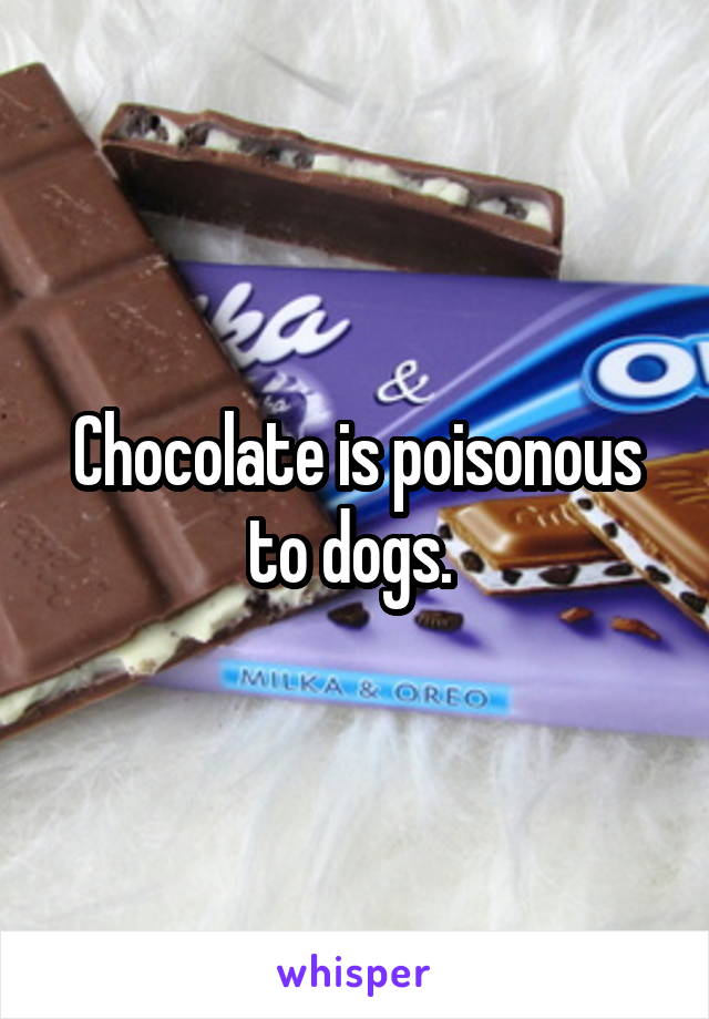 Chocolate is poisonous to dogs. 