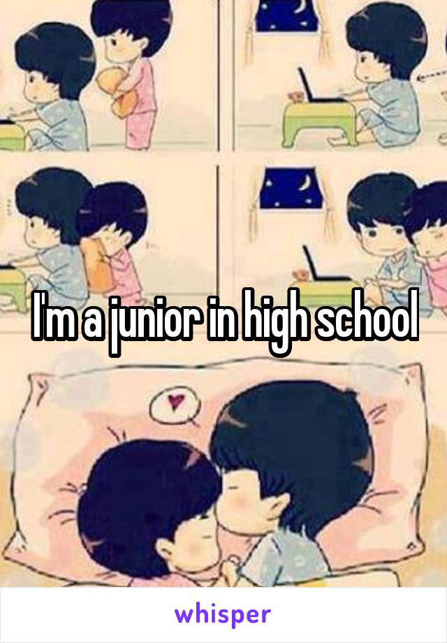I'm a junior in high school
