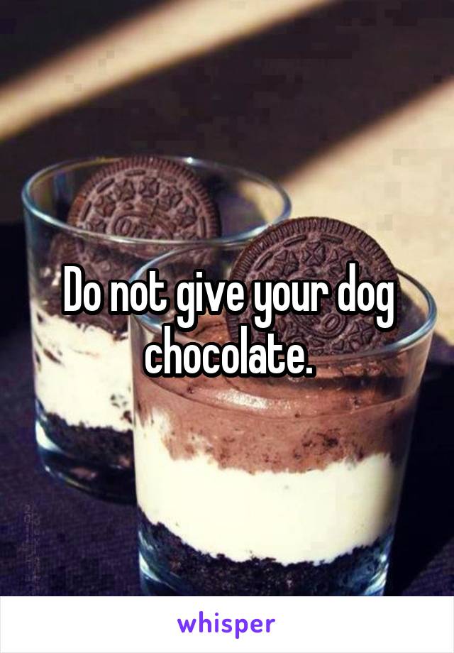 Do not give your dog chocolate.