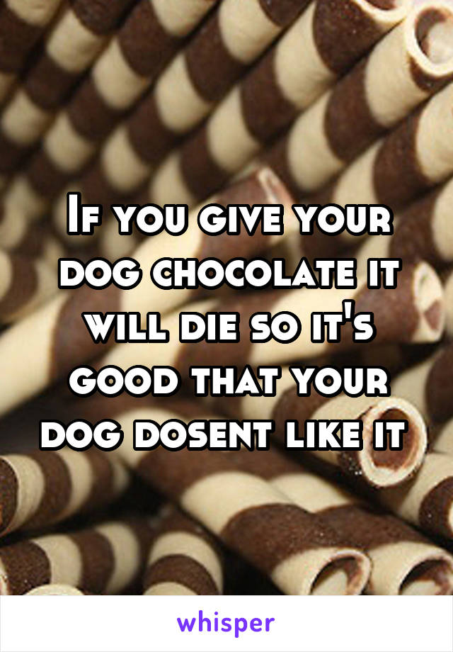 If you give your dog chocolate it will die so it's good that your dog dosent like it 