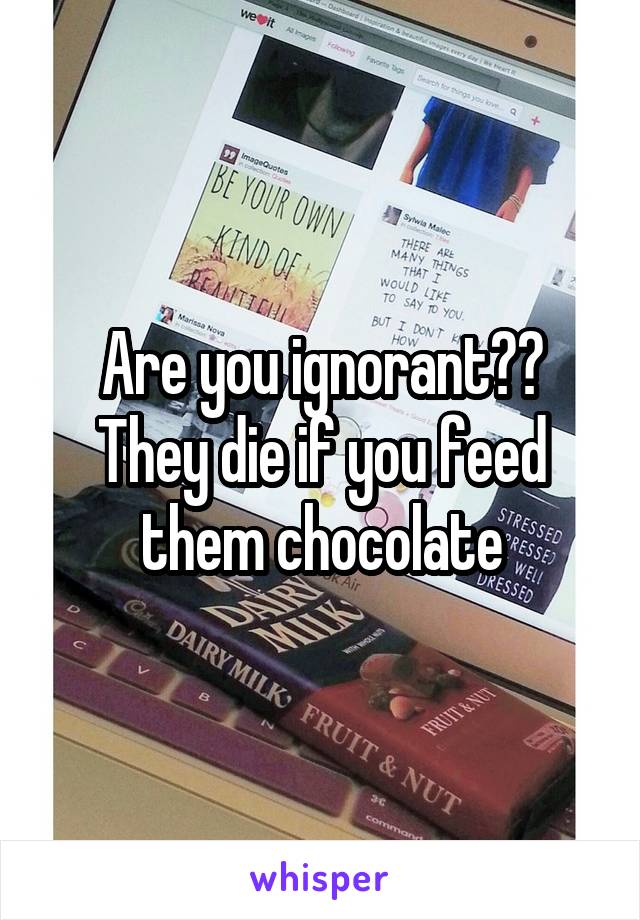 Are you ignorant?? They die if you feed them chocolate