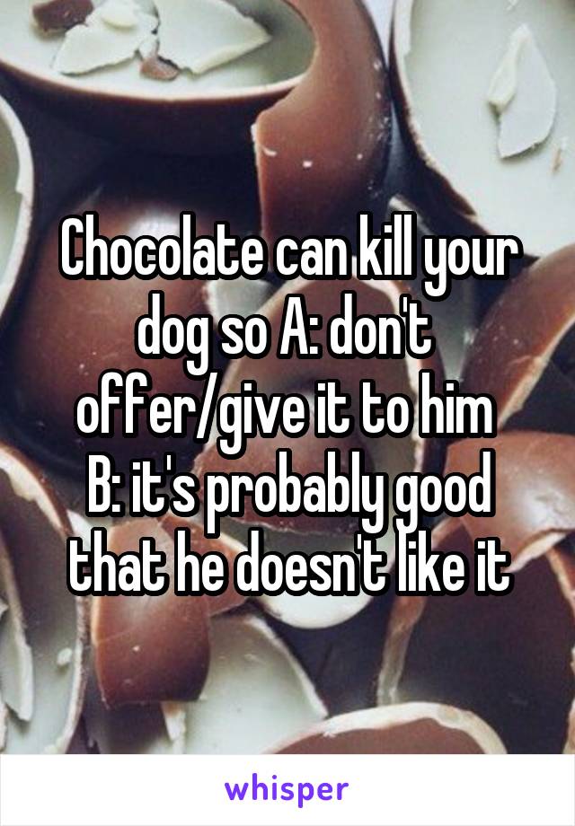 Chocolate can kill your dog so A: don't 
offer/give it to him 
B: it's probably good that he doesn't like it