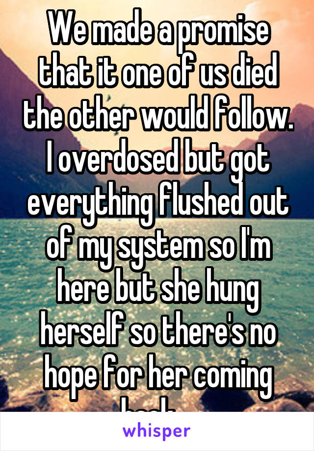 We made a promise that it one of us died the other would follow. I overdosed but got everything flushed out of my system so I'm here but she hung herself so there's no hope for her coming back....