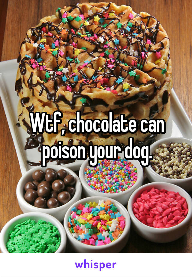 Wtf, chocolate can poison your dog.