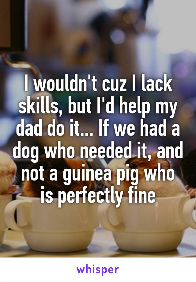 I wouldn't cuz I lack skills, but I'd help my dad do it... If we had a dog who needed it, and not a guinea pig who is perfectly fine